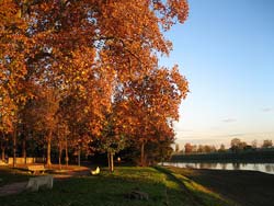 B&b Le Piagge - foto 18 (Il Lungofiume Arno)