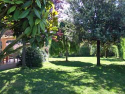 Picture of B&B IL CASALE of SAN GIOVANNI IN MARIGNANO