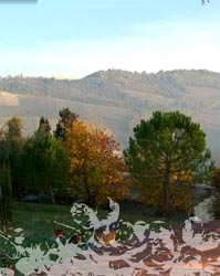 Photo B&B I TAMERICI a FRATTA TERME