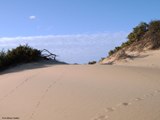 Foto B&B RIO CASTANGIAS di ARBUS