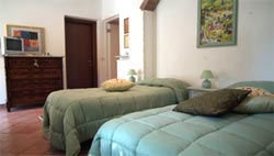 Picture of B&B LE MIE CILIEGIE  of CEPARANA - CARPENA