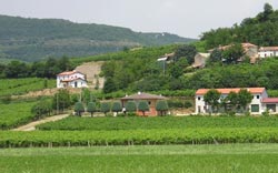 Picture of AGRITURISMO  BELVEDERE of VILLAGA