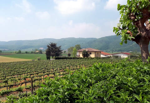 Picture of AGRITURISMO  BELVEDERE of VILLAGA