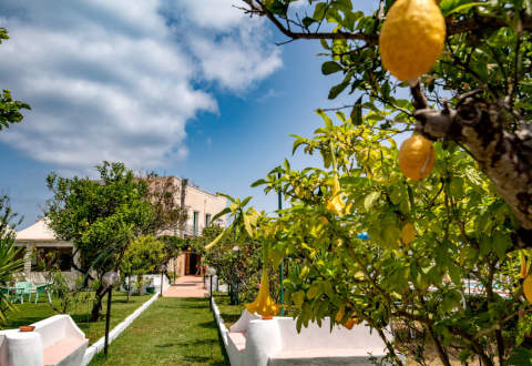 Foto HOTEL  SAVOIA di PROCIDA