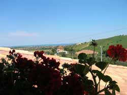 Foto B&B  LA CIVETTA  di ROSETO DEGLI ABRUZZI