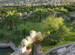 Foto AGRITURISMO  VILLA CARISTO FARMHOUSE di STIGNANO