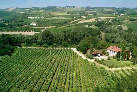 Foto AGRITURISMO CA' SAN GIOVANNI di FAENZA