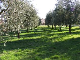 Foto B&B CÀ DEL SOLE di MANERBA DEL GARDA