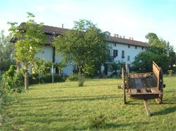 Foto AFFITTACAMERE CASCINA COLLAVINI di COSTIGLIOLE D'ASTI