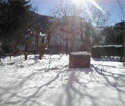 Foto HOTEL VILLA MYOSOTIS di BARDONECCHIA