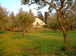 BORGO AL POGGIOLINO - Foto 1