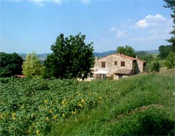 Picture of CASA VACANZE LE CORONE of OTRICOLI