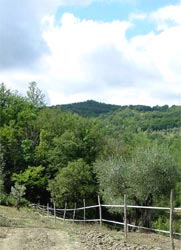 Foto AGRITURISMO PODERE LE PIALLE di DOCCIA