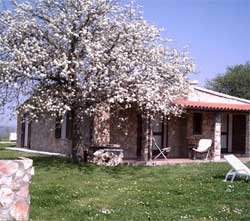 Picture of AGRITURISMO  PODERE BELLO of PITIGLIANO