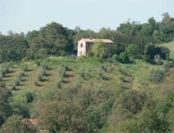 Foto B&B IL MONTE di SORANO