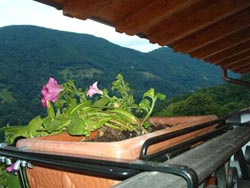 Photo B&B VAL CAVARGNA BED & BREAKFAST a SAN BARTOLOMEO VAL CAVARGNA