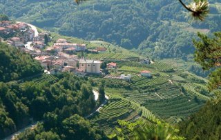 Foto HOTEL  FIOR DI BOSCO di GIOVO