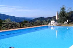 Picture of AGRITURISMO   FRASCOLE of DICOMANO
