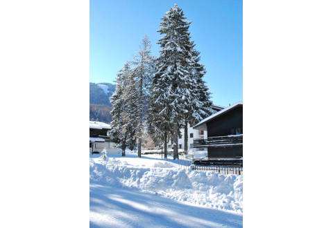 Foto HOTEL  SAINT MARTIN di APRICA