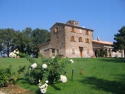 Picture of B&B TENUTA LA PAZZAGLIA of CASTIGLIONE IN TEVERINA