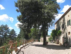 Foto B&B  MEZZACOSTA di ANGHIARI