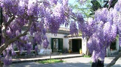 Foto B&B LA CASA DI PIPPINITTO di SANTA VENERINA