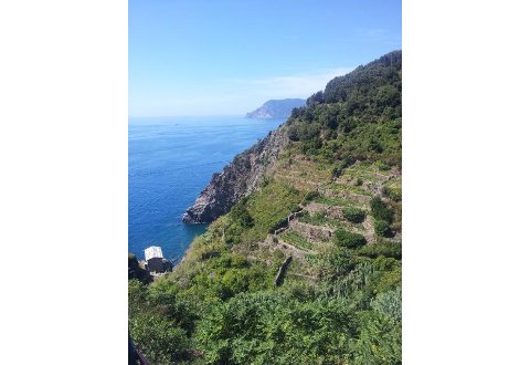 Picture of B&B  DA BEPPE of CORNIGLIA