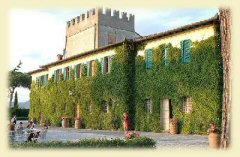 Picture of AGRITURISMO  M.C.M. BELVEDERE of CASTIGLION FIORENTINO