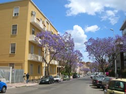 Foto B&B BONARIA  di CAGLIARI