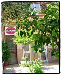 Foto B&B BED AND BREAKFAST OLEASTER di BOLOGNETTA