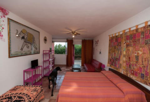 Paradiso A 4 Zampe - Villa Paradiso - foto 16 (Bilocale India)