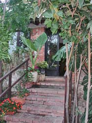 Foto B&B IL GIARDINO DI GRAZIELLA di TAORMINA