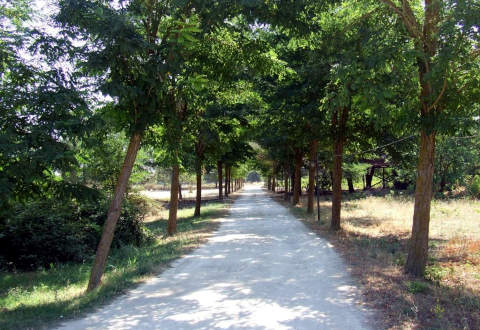 Foto AGRITURISMO FATTORIA IL NOCE di MANDURIA