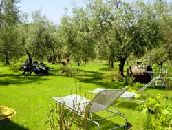 Picture of B&B IL COLLE DEGLI ULIVI of ZAGAROLO