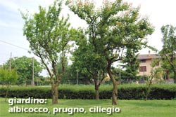 Picture of AGRITURISMO  IL MELOGRANO of FAVARO VENETO