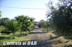 Picture of B&B A CASA DI MALU' of ARCOLA