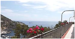 Foto RESIDENCE LE TERRAZZE  di ISOLA DI USTICA