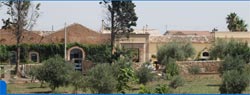 Picture of B&B CASALE ROCCA FIORITA of SCOGLITTI