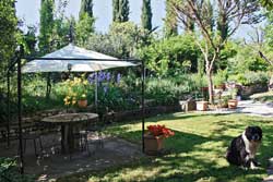 Photo B&B  LA MARTELLINA a FIESOLE