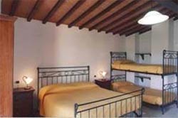 Picture of AGRITURISMO  DRAGHI of MONTERCHI