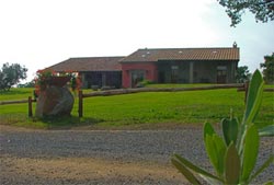 Picture of AGRITURISMO   POGGIO DELLA CAPANNA of VITERBO