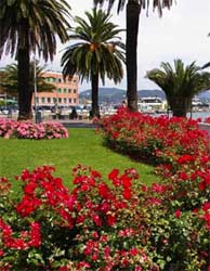 Foto AFFITTACAMERE RESIDENZA VIANI di LA SPEZIA