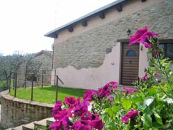 Picture of B&B  LA VALLE of URBINO