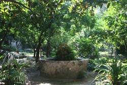 IL GIARDINO DI TONIA - Foto 10