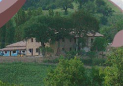 Foto AGRITURISMO COUNTRYHOUSE LE CALVIE COUNTRYHOUSE di CAMERINO