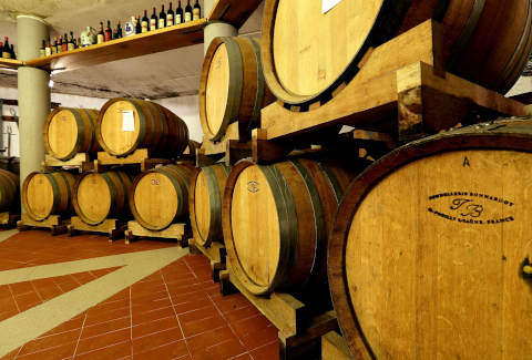 Picture of AGRITURISMO TRERE'  E CANTINA of FAENZA