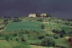 Picture of AGRITURISMO  LA TORRETTA of SIENA