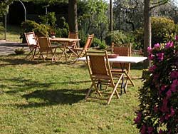 Photo B&B  APARTMENT CASA DILETTA a MASSA E COZZILE