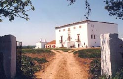 MASSERIA MURGIA ALBANESE - Foto 1