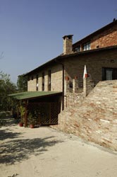 Foto AGRITURISMO  IL LUCHERINO di SIENA